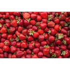 Fraise ronde dans le catalogue Carrefour