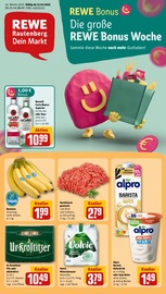 Aktueller REWE Discounter Prospekt in Tharandt und Umgebung, "Dein Markt" mit 28 Seiten, 13.10.2025 - 18.10.2025
