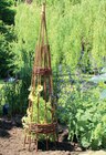 Weiden-Obelisk natur bei Kiebitzmarkt im Raesfeld Prospekt für 27,99 €
