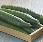 Promo Concombre à 1,50 € dans le catalogue Intermarché à Saint-Germain-les-Belles