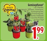 Gemüsepflanze im aktuellen EDEKA Prospekt für 1,99 €
