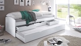 Aktuelle Bett Angebote bei Zurbrüggen in Oldenburg Aktuelles Tandemliege Nessi Angebot bei Zurbrüggen in Oldenburg ab 179,00 €
