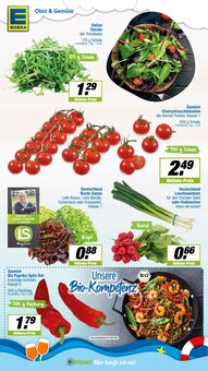 Tomaten im EDEKA Prospekt "Aktuelle Angebote" mit 15 Seiten (Münster)