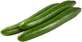 Salatgurke bei REWE im Senden Prospekt für 0,44 €