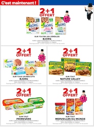 Offre Primevères dans le catalogue Carrefour du moment à la page 60