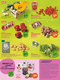 tegut Pflanzen im Prospekt 