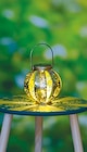 Solar-Laterne gold im Angebot bei Netto mit dem Scottie in Pirna Solar-Laterne gold Angebote von GARDEN DREAM bei Netto mit dem Scottie Pirna für 8,99 €