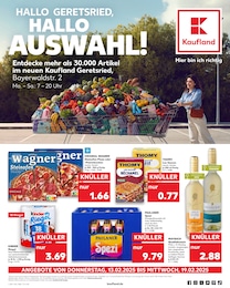 Kaufland Prospekt: "UNSERE MEGA ANGEBOTE", 58 Seiten, 13.02.2025 - 19.02.2025