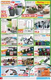 Aktueller Norma Prospekt mit Schuhe, "Mehr fürs Geld", Seite 2