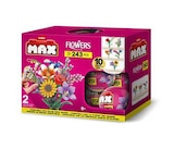 Jeu de construction Zuru France Garden Long Flowers Series Gravity en PDQ Modèle aléatoire - ZURU FRANCE en promo chez Fnac Jeu de construction Zuru France Garden Long Flowers Series Gravity en PDQ Modèle aléatoire - ZURU FRANCE dans le catalogue Fnac