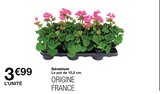 Géranium en promo chez Monoprix Boulogne-Billancourt à 3,99 €