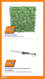 Aktueller Action Prospekt mit Pflanzen, "Wochenangebote", Seite 9