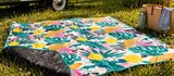 Aktuelle Picknickdecke Angebote bei Netto Marken-Discount in Saarbrücken Aktuelles Picknickdecke Angebot bei Netto Marken-Discount in Saarbrücken ab 8,99 €