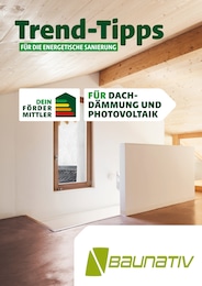 Baunativ Prospekt "Trend-Tipps FÜR DIE ENERGETISCHE SANIERUNG" für Riesa, 9 Seiten, 13.05.2024 - 23.05.2024