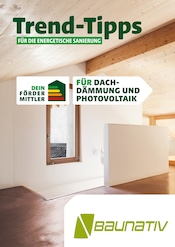 Aktueller Baunativ Baumarkt Prospekt in Falkenhain und Umgebung, "Trend-Tipps FÜR DIE ENERGETISCHE SANIERUNG" mit 9 Seiten, 13.05.2024 - 23.05.2024