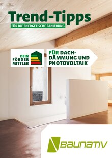 Baunativ Prospekt Trend-Tipps FÜR DIE ENERGETISCHE SANIERUNG mit  Seiten in Nünchritz und Umgebung
