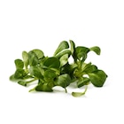 Bio Feldsalat für 1,49 € bei Lidl im Angebot Bio Feldsalat im aktuellen Lidl Prospekt