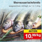 Meerwasserlachsforelle Angebote bei Zimmermann Bremerhaven für 10,99 €