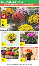 Promos Chrysanthèmes dans le catalogue "HAHA HALLOWEEN" de Carrefour Market Chrysanthèmes en promo dans le catalogue Carrefour Market à la page 18