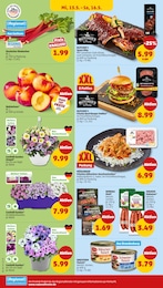 Rhabarber Angebot im aktuellen Penny Prospekt auf Seite 28
