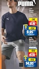 Herren-T-Shirt im Angebot bei Lidl in Rottenburg Herren-T-Shirt Angebote von PUMA bei Lidl Rottenburg für 9,95 €