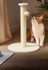 Arbre à chat - ZOOFARI en promo chez Lidl Arbre à chat - ZOOFARI dans le catalogue Lidl
