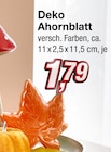 Deko Ahornblatt Angebote bei KiK Albstadt für 1,79 €