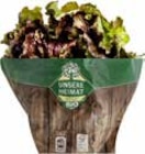 E center - Bio Bunte Salate Angebot im Prospekt Bio Bunte Salate bei E center im Prospekt "" für 1,99 €