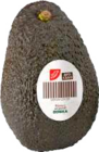 Avocado Hass im aktuellen Prospekt bei E center in Ihlienworth