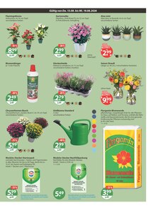 Blumenerde im aktuellen V-Markt Prospekt (Augsburg) Blumenerde im V-Markt Prospekt "V-Markt einfach besser einkaufen" mit 17 Seiten (Augsburg)