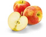 Äpfel rot im Angebot bei Netto Marken-Discount in Düsseldorf Äpfel rot Angebote bei Netto Marken-Discount Düsseldorf für 1,49 €