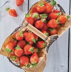 Fraise gariguette dans le catalogue Intermarché Contact