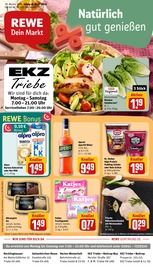 REWE Biomärkte Prospekt der aktuellen Woche mit 30 Seiten, gültig von 20.07.2026 bis 25.07.2026, in Bottrop und Umgebung Aktueller REWE Biomärkte Prospekt in Bottrop und Umgebung, "Dein Markt" mit 30 Seiten, 20.07.2026 - 25.07.2026