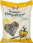 Globus-Baumarkt Briedel - Sonnenblumenkerne Angebot im Prospekt Sonnenblumenkerne bei Globus-Baumarkt im Briedel Prospekt für 9,99 €