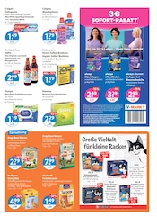 Aktueller V-Markt Prospekt mit Kühlschrank, "V-Markt einfach besser einkaufen", Seite 11