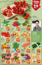 Blumenerde Angebot im aktuellen REWE Prospekt auf Seite 7
