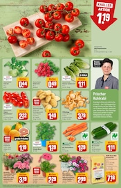 Aktueller REWE Prospekt mit Zimmerpflanzen, "Dein Markt", Seite 7