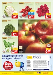Äpfel im Netto Marken-Discount Prospekt in Suhl Aktueller Netto Marken-Discount Prospekt mit Äpfel, "Aktuelle Angebote", Seite 13