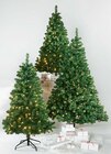 Tannenbaum im Angebot bei Ostermann in Willich Tannenbaum Angebote bei Ostermann Willich für 59,50 €