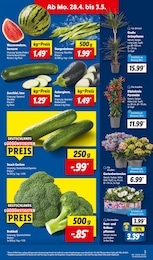 Lidl Wassermelone im Prospekt 