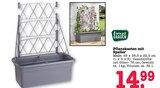 Aktuelle Blumentopf Angebote bei E center in Heidelberg Aktuelles Pflanzkasten mit Spalier Angebot bei E center in Heidelberg ab 14,99 €
