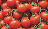 Supeco Puget-sur-Argens - Promo Tomate Grappe Promo Tomate Grappe à 1,59 € dans le catalogue Supeco à Puget-sur-Argens