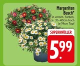 Aktuelles Margeriten Busch Angebot bei EDEKA in Augsburg ab 5,99 €