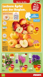 Garten im Penny Prospekt in Heilbronn Aktueller Penny Prospekt mit Garten, "Wer günstig will, muss Penny.", Seite 7