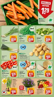 Blumen im REWE Prospekt "Dein Markt" mit 24 Seiten (Augsburg)