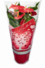 Anthurie Flamingoblume Angebote bei Netto Marken-Discount Leipzig für 5,99 €