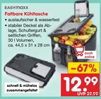 Faltbare Kühltasche Angebote von Easymaxx bei Netto Marken-Discount Cottbus für 12,99 €