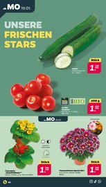 Aktueller Netto mit dem Scottie Prospekt mit Mixer, "Günstig. Besser. Für Dich.", Seite 2