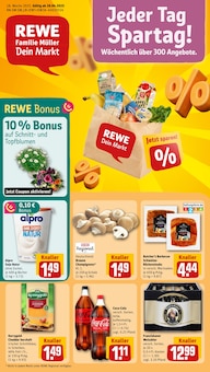 REWE Prospekt Dein Markt mit 30 Seiten