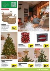 Korb im Hagebaumarkt Prospekt in Wolfsburg Aktueller Hagebaumarkt Prospekt mit Korb, "VERSCHÖNERE MIT UNS DEINEN GARTEN", Seite 7